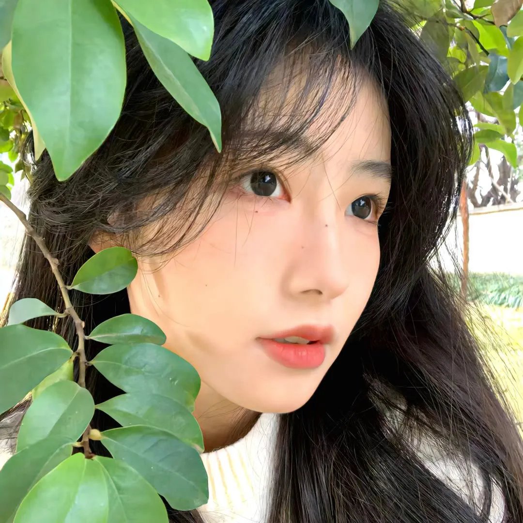 凶咒